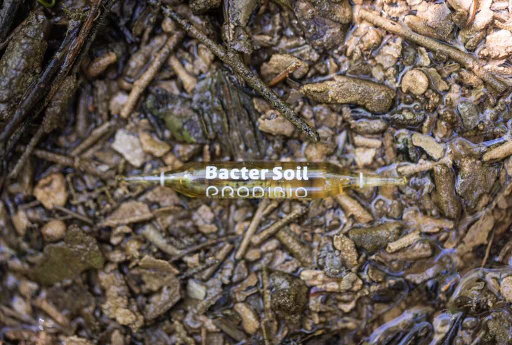 ampoule prodibio bacter soil sur un lit de rivière